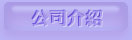公司介绍
